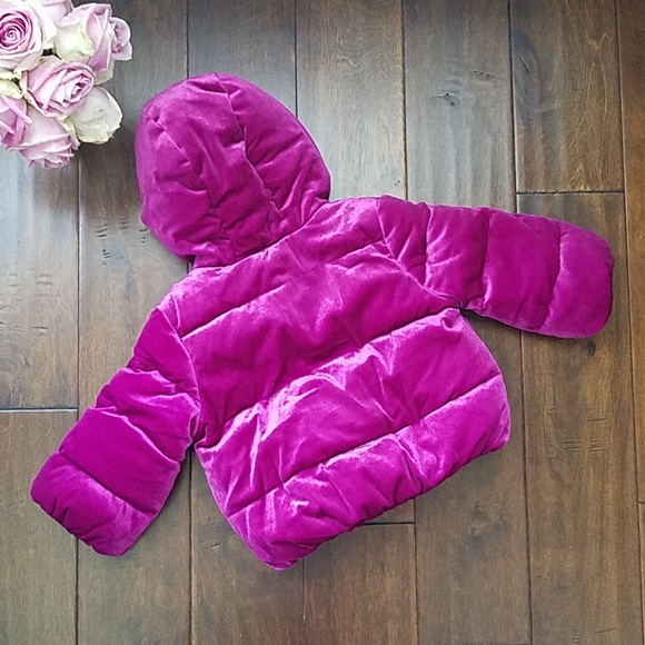 NWT Gymboree Velvet/Hooded Puffer (18-24M) - Picture 2 of 7